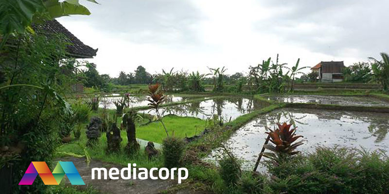 Channel News Asia - Bali Silent Retreat 48 hours silence