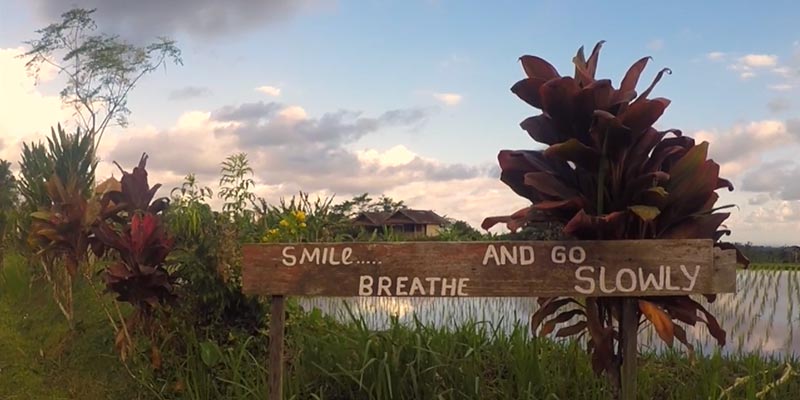 The Sounds of Silence: 7 Days at Bali Silent Retreat