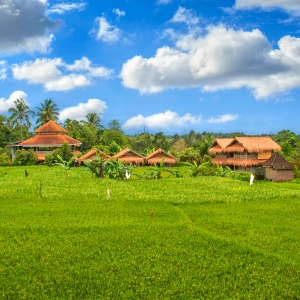 Bali Silent Retreat frontscape