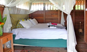 Deluxe bungalow with Queen bed