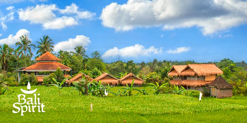 Time to Listen: 5 Days of Silence at Bali Silent Retreat