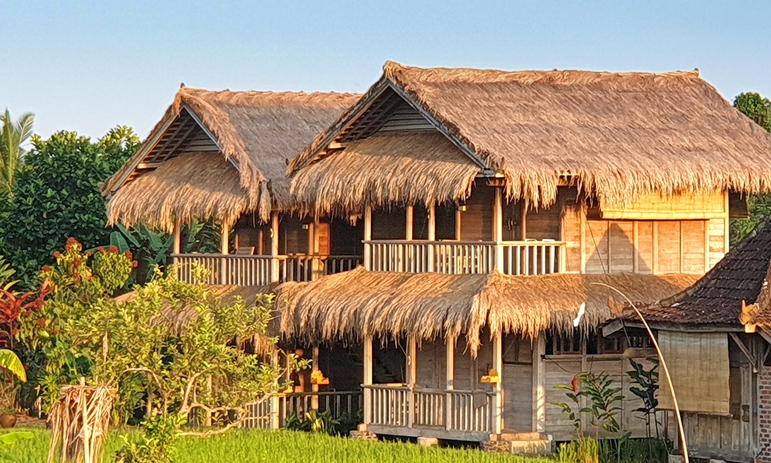 Deluxe Bungalows