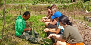 Additional Activities
