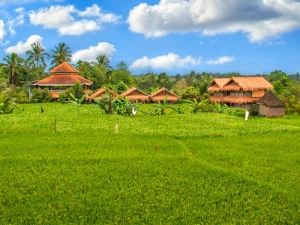 Bali Silent Retreat frontscape ylangylang roofs