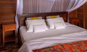 Deluxe Bungalow King bed