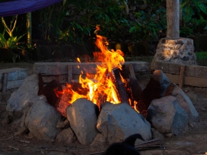 Firepit fire