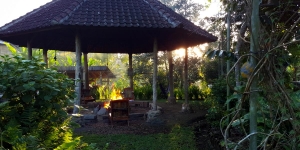Fire pit house