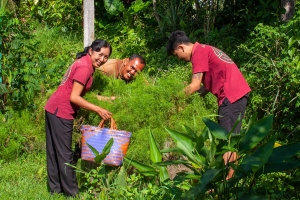 Kitchen and garden staff